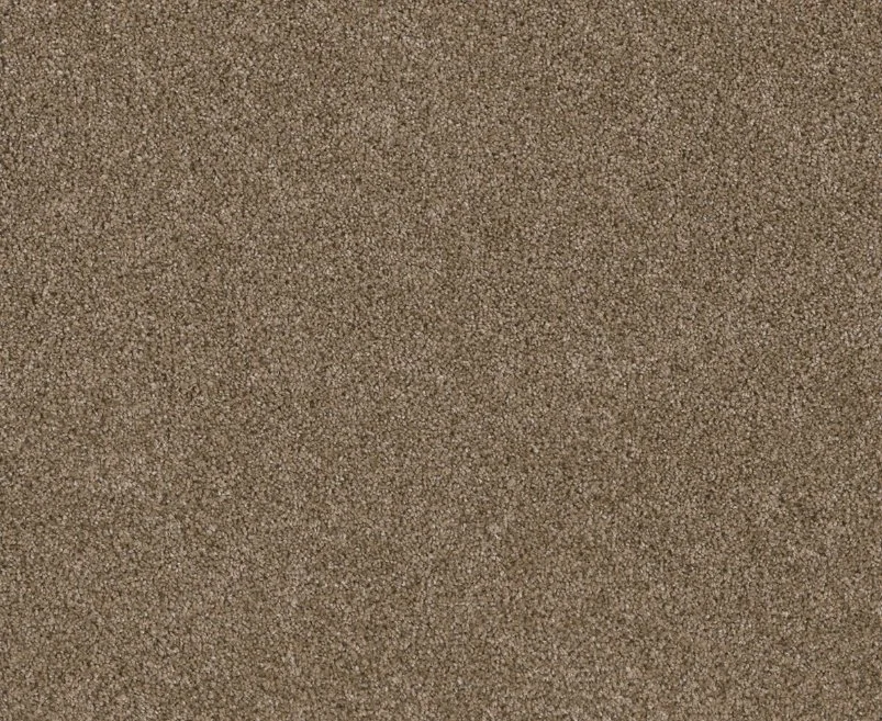 Dreamweaver Residential Carpet / Collection: Stunning / Color: Wicker / (Available in 19 additional colors!) / Click on picture above to see additional colors!