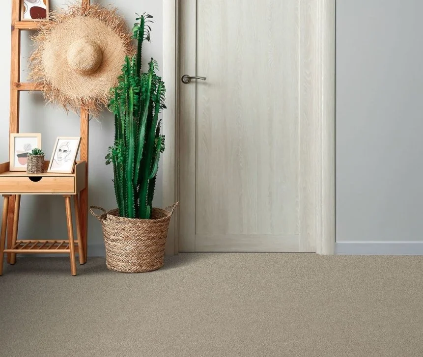 Dreamweaver Residential Carpet / Collection: Reflections II / Color: Seashells / (Available in 19 other colors!) / Click on picture above to see additional colors!