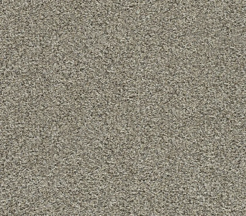 Dreamweaver Residential Carpet / Collection: Autumn Glow I / Color: Salted Toffee / (Available in 15 other colors!) / Click on picture above to see additional colors!