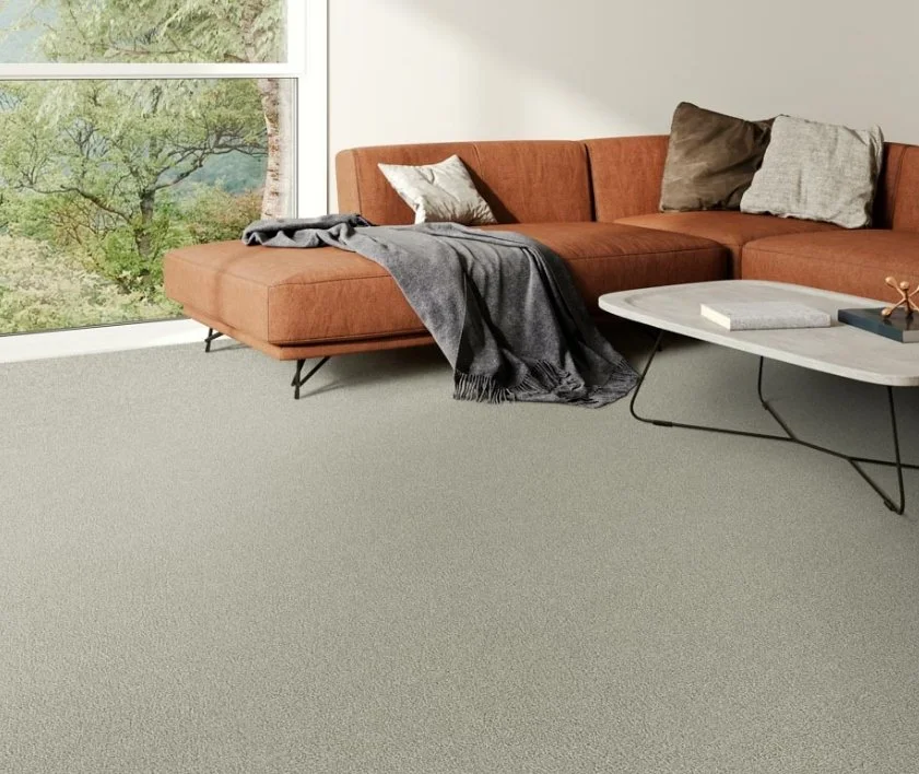 Dreamweaver Residential Carpet / Collection: Foxwood II / Color: Moon Mist / (Available in 19 additional colors!) / Click on picture above to see additional colors!