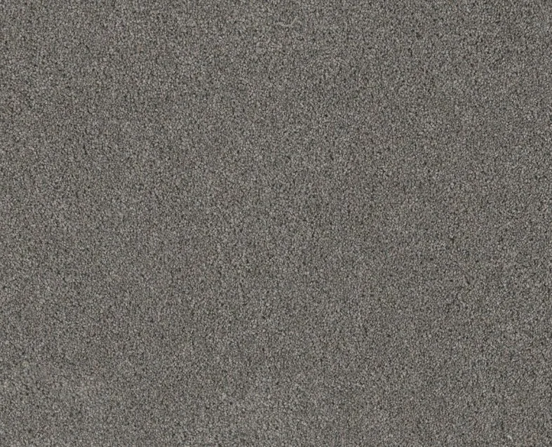 Dreamweaver Residential Carpet / Collection: Stunning / Color: Orion / (Available in 19 additional colors!) / Click on picture above to see additional colors!