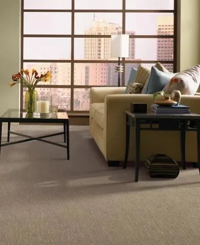 Mohawk Everstrand Residential /
Collection: Downtown Spirit II /
Color: Desert Sand /
(Available in 14 other colors!) /
Click on picture above to see additional colors!