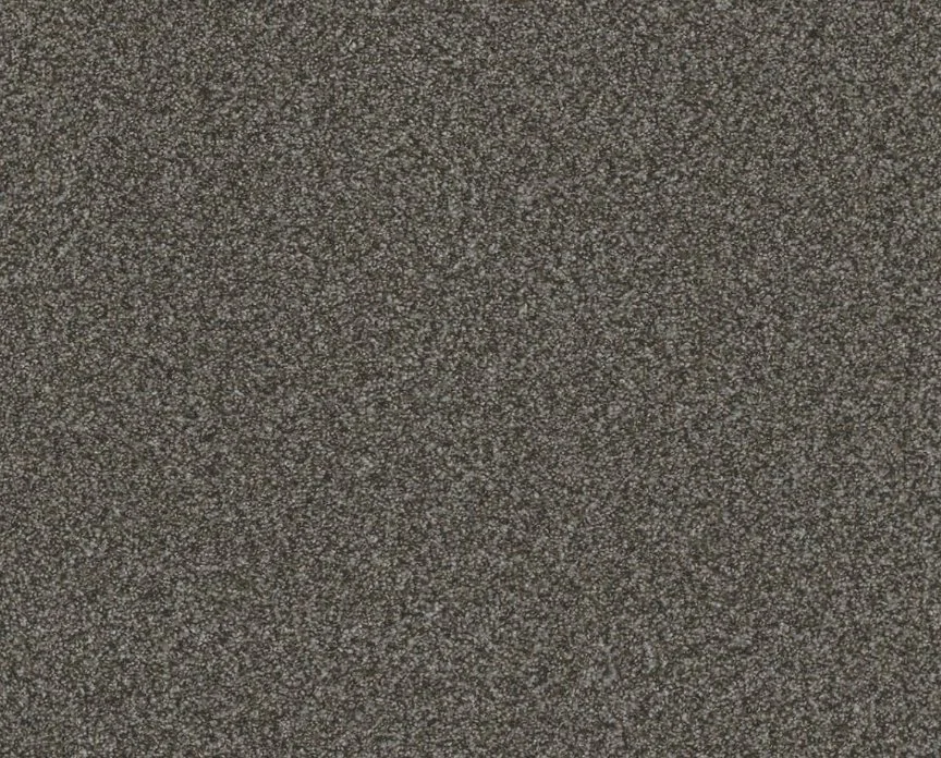 Dreamweaver Residential Carpet / Collection: Titan II / Color: Pinehurst / (Available in 11 other colors!) / Click on picture above to see additional colors!