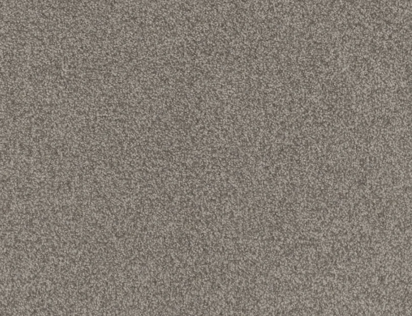 Dreamweaver Residential Carpet / Collection: Beach Club II / Color: Roman / (Available in 20 other colors!) / Click on picture above to see additional colors!