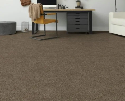 Dreamweaver Residential Carpet / Collection: Serene I / Color: Shellbark / (Available in 14 other colors!) / Click on picture above to see additional colors!
