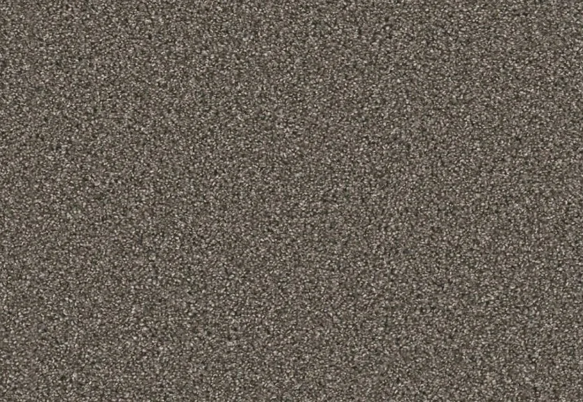 Dreamweaver Residential Carpet / Collection: Windy City II / Color: Rugby / (Available in 15 other colors!) / Click on picture above to see additional colors!