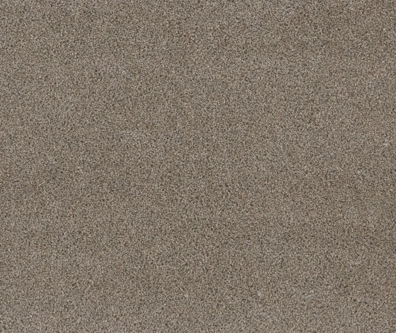 Dreamweaver Residential Carpet / Collection: Stunning / Color: Ash / (Available in 19 additional colors!) / Click on picture above to see additional colors!