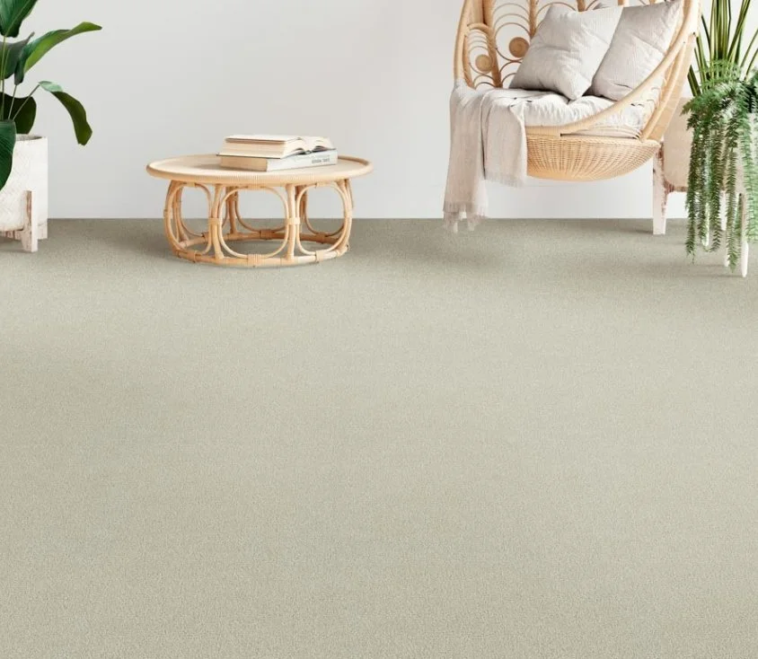 Dreamweaver Residential Carpet / Collection: Foxwood III / Color: Champagne Fizz / (Available in 19 additional colors!) / Click on picture above to see additional colors!