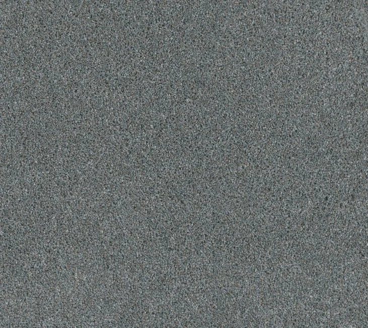 Dreamweaver Residential Carpet / Collection: Stunning / Color: Galactic / (Available in 19 additional colors!) / Click on picture above to see additional colors!