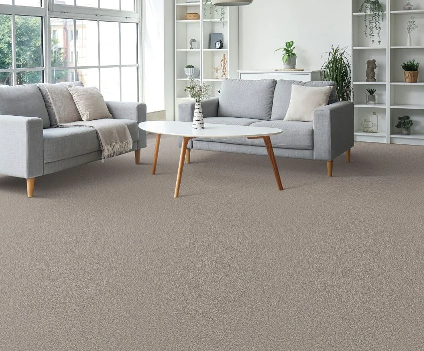 Dreamweaver Residential Carpet / Collection: Out of This World I / Color: Equinox / (Available in 15 other colors!) / Click on picture above to see additional colors!