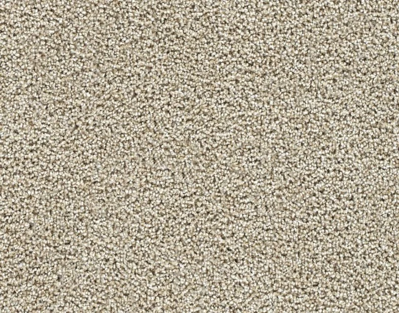Dreamweaver Residential Carpet / Collection: Captivating II / Color: Peanut Brittle / (Available in 19 other colors!) / Click on picture above to see additional colors!