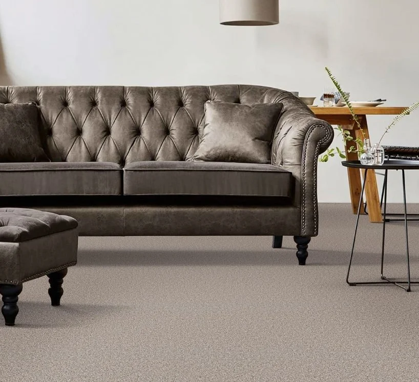 Dreamweaver Residential Carpet / Collection: Windy City I / Color: Marble Glaze / (Available in 15 other colors!) / Click on picture above to see additional colors!