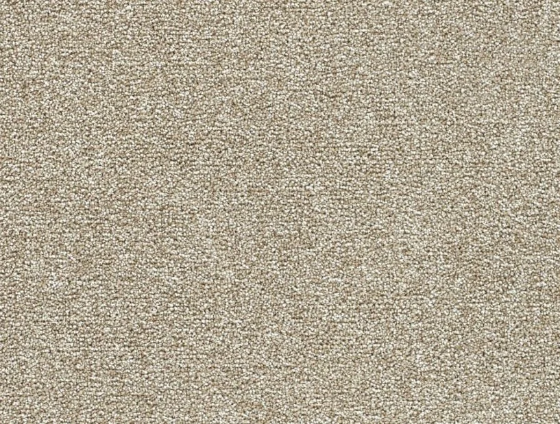Dreamweaver Residential Carpet / Collection: Breakview II / Color: Grounded / (Available in 19 other colors!) / Click on picture above to see additional colors!