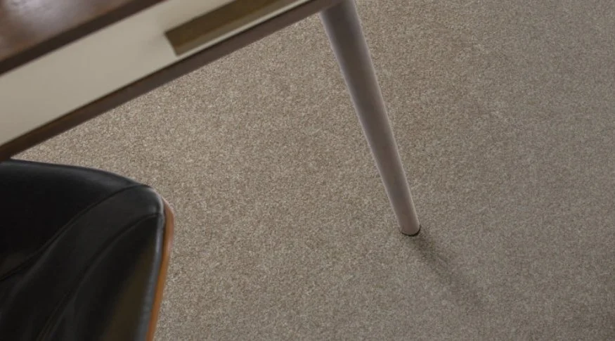 Shaw Floors Residential Carpet / Collection: Good Move II / Color: Winter Dunes / (Also available in 8 other colors!) / Click on picture above to see additional colors! 