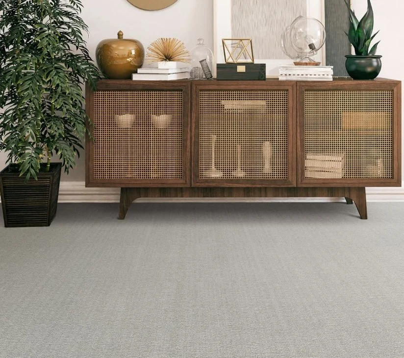 Dreamweaver Residential Carpet / Collection: Aberdeen II / Color: Rain Shadow / (Available in 11 other colors!) / Click on picture above to see additional colors!