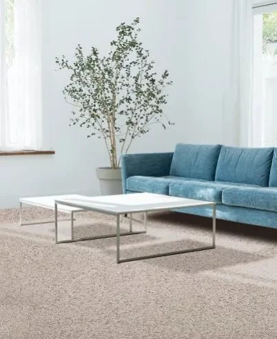 Mohawk Pet Premier Residential /
Collection: Canine Comfort /
Color: Bisque /
(Available in 14 other colors!) /
Click on picture above to see additional colors!