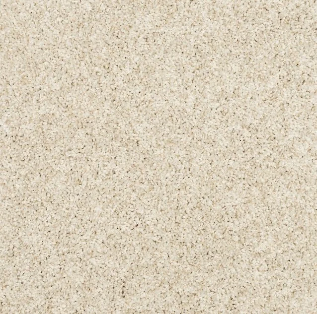 Mohawk Pet Premier Residential /
Collection: Diffurent Choice I /
Color: Canvas Cloth /
(Available in 19 other colors!) /
Click on picture above to see additional colors!