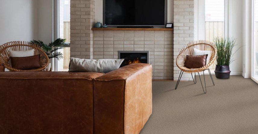Shaw Floors Residential Carpet / Collection: Good Move I / Color: Grecian Tan / (Also available in 8 other colors!) / Click on picture above to see additional colors! 