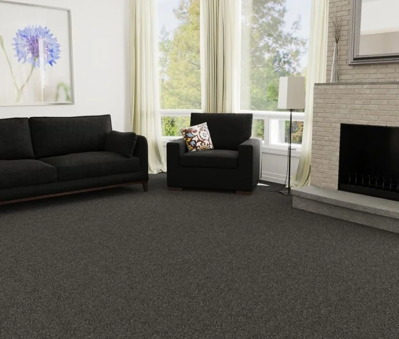 Dreamweaver Residential Carpet / Collection: Malibu I / Color: Smoky Quartz / (Available in 19 additional colors!) / Click on picture above to see additional colors!