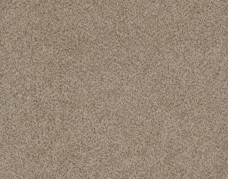 Dreamweaver Residential Carpet / Collection: Stunning / Color: Oxford / (Available in 19 additional colors!) / Click on picture above to see additional colors!
