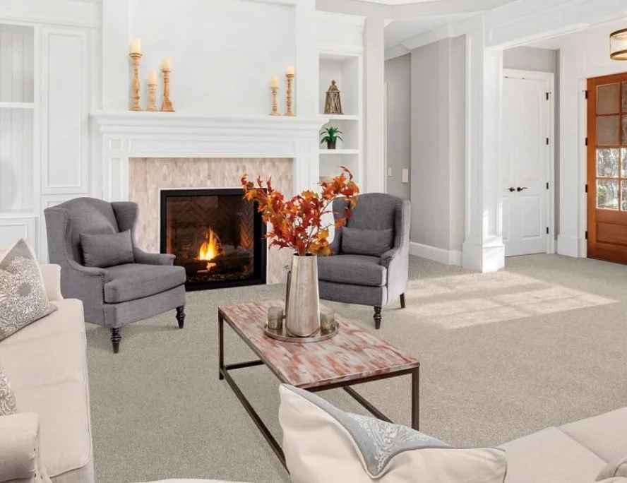 Dreamweaver Residential Carpet / Collection: Reflections III / Color: Iron Frost / (Available in 19 other colors!) / Click on picture above to see additional colors!
