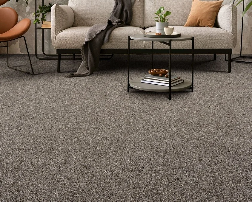 Dreamweaver Residential Carpet / Collection: Gold Standard I / Color: Pewter / (Available in 19 other colors!) / Click on picture above to see additional colors!