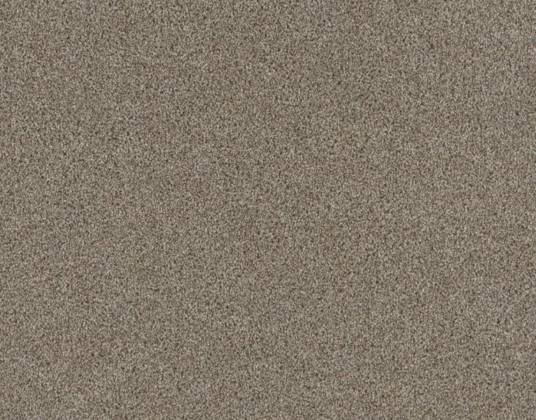 Dreamweaver Residential Carpet / Collection: Stunning / Color: Iron Frost / (Available in 19 additional colors!) / Click on picture above to see additional colors!