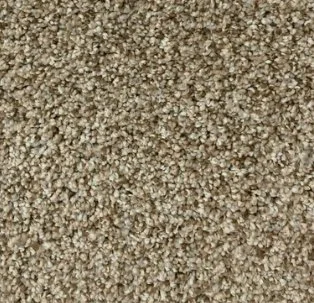 Brandon Co./ Next Floor Residential Carpet / Collection: Cirrus / Color: Mocha / (Available in 5 other colors!) / Click on picture above to see additional colors!