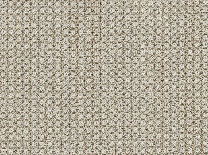 Dreamweaver Residential Carpet / Collection: Montreal II / Color: La Casa / (Available in 11 other colors!) / Click on picture above to see additional colors!