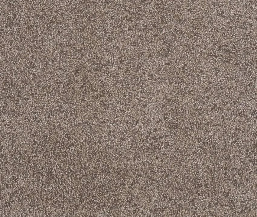 Dreamweaver Residential Carpet / Collection: Rustic Retreat II / Color: Clay Pot / (Available in 11 other colors!) / Click on picture above to see additional colors!