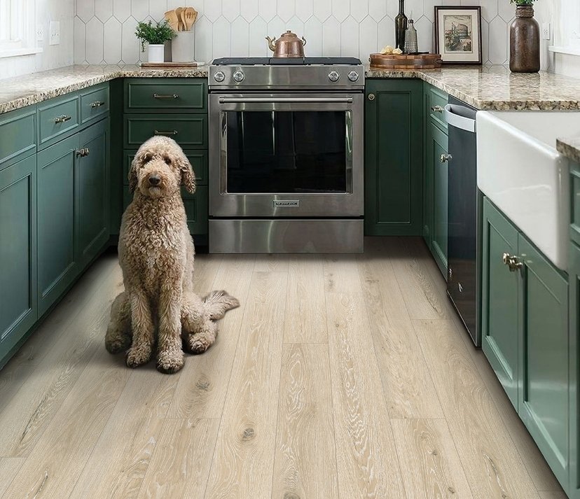 Engineered Floor Residential Luxury Vinyl Plank / Collection: Divine / Color: Stardust / (Also available in 11 other colors!) / Click on picture above to see additional colors!
