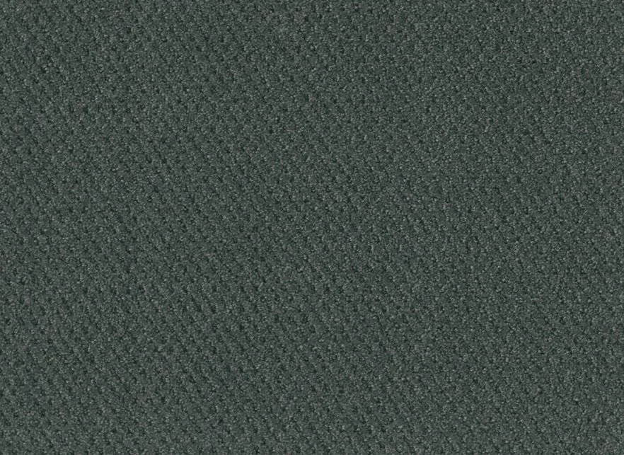 Dreamweaver Residential Carpet / Collection: Moon Bay / Color: Onyx Waves / (Available in 14 other colors!) / Click on picture above to see additional colors!