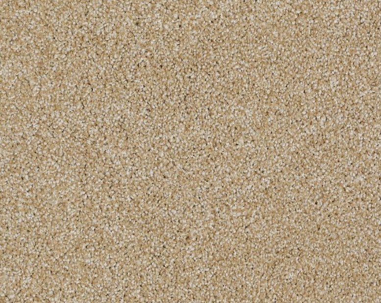 Shaw Floors Residential Carpet / Collection: Always Ready II / Color: Gold Rush / (Also available in 19 other colors!) / Click on picture above to see additional colors!