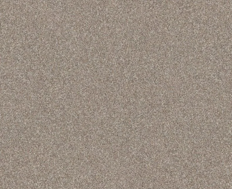Shaw Floors Residential Carpet / Collection: Elevated II / Color: Mushroom / (Also available in 14 other colors!) / Click on picture above to see additional colors!