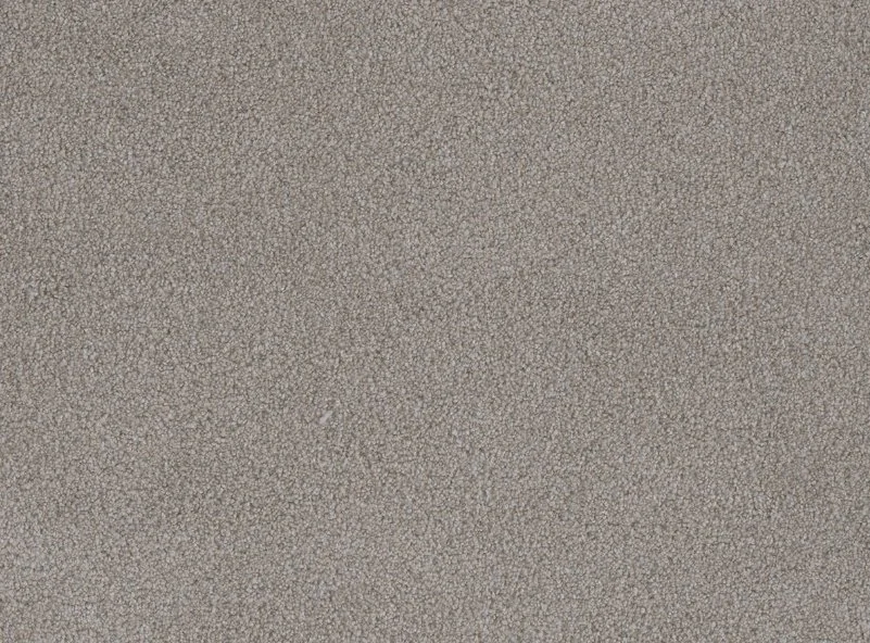 Dreamweaver Residential Carpet / Collection: Palmetto III / Color: Cherry Blossom / (Available in 16 other colors!) / Click on picture above to see additional colors!