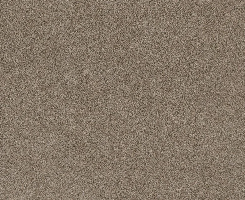Dreamweaver Residential Carpet / Collection: Stunning / Color: Mocha / (Available in 19 additional colors!) / Click on picture above to see additional colors!