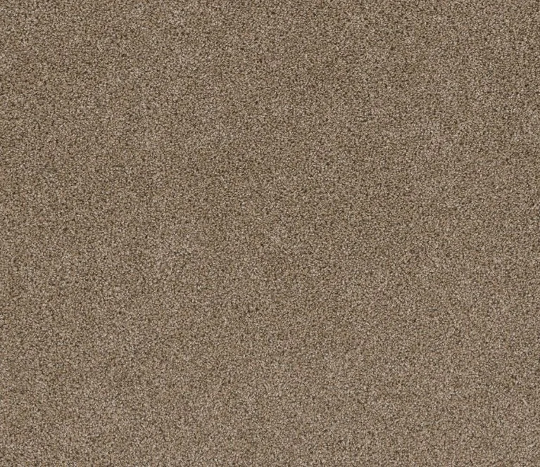 Dreamweaver Residential Carpet / Collection: Stunning / Color: Straw / (Available in 19 additional colors!) / Click on picture above to see additional colors!