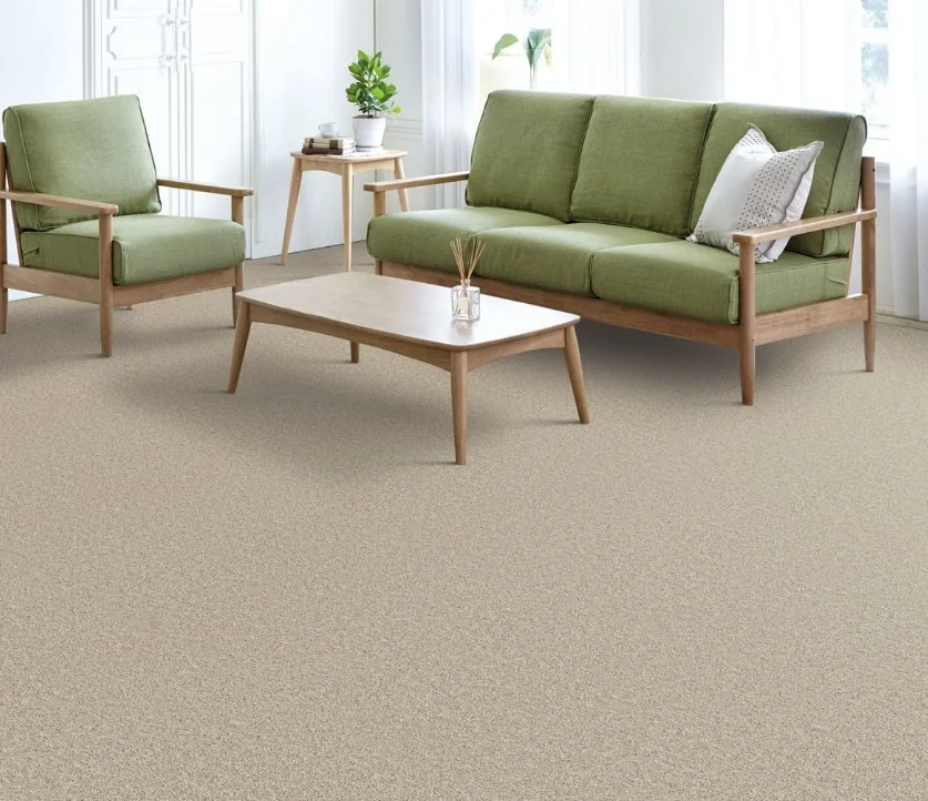 Dreamweaver Residential Carpet / Collection: Broadcast Plus / Color: Light Bisque / (Available in 15 additional colors!) / Click on picture above to see additional colors!