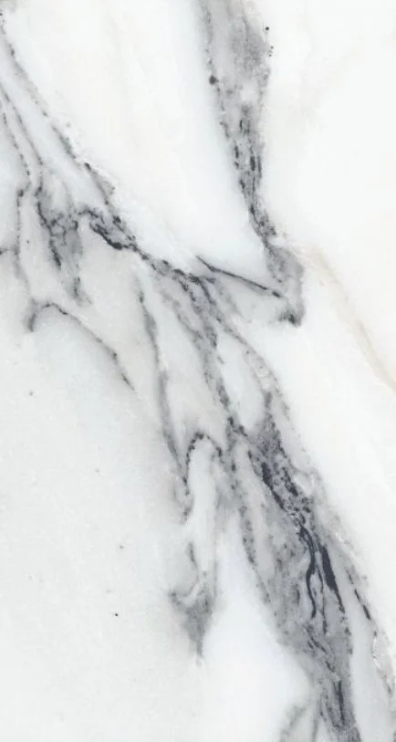 Elysium Residential Porcelain Floor Tile / Collection: Origines / Color: Argent - (Available in a Matte or Polished) -SKU: 769853 / Size: 12" x 24" - (Available in more sizes!) / No link available to see enhanced view! 