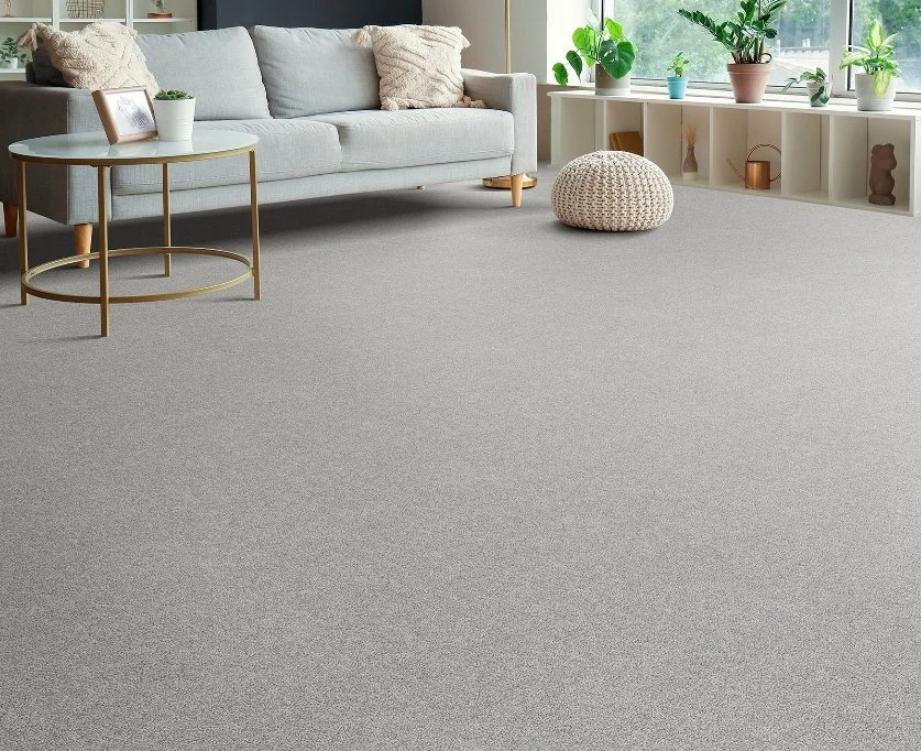 Dreamweaver Residential Carpet / Collection: Rock Solid I / Color: Icicle / (Available in 19 other colors!) / Click on picture above to see additional colors!