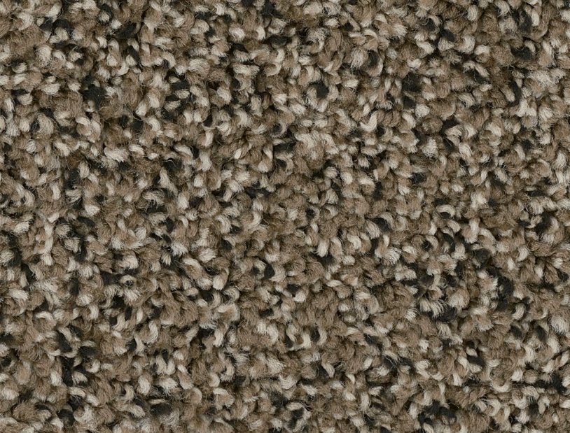 Dreamweaver Residential Carpet / Collection: West Brow / Color: Magnetite / (Available in 19 additional colors!) / Click on picture above to see additional colors!