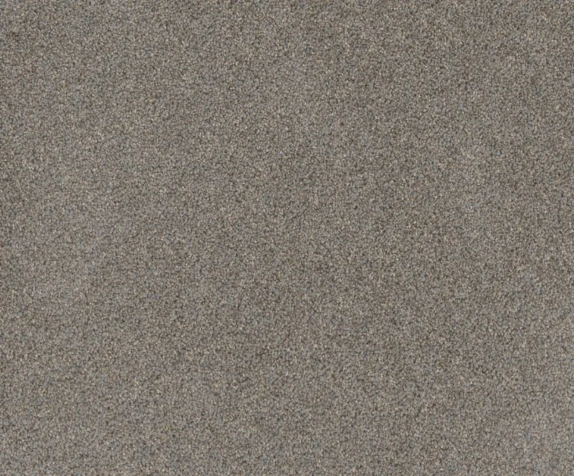 Dreamweaver Residential Carpet / Collection: Stunning / Color: Shadows / (Available in 19 additional colors!) / Click on picture above to see additional colors!