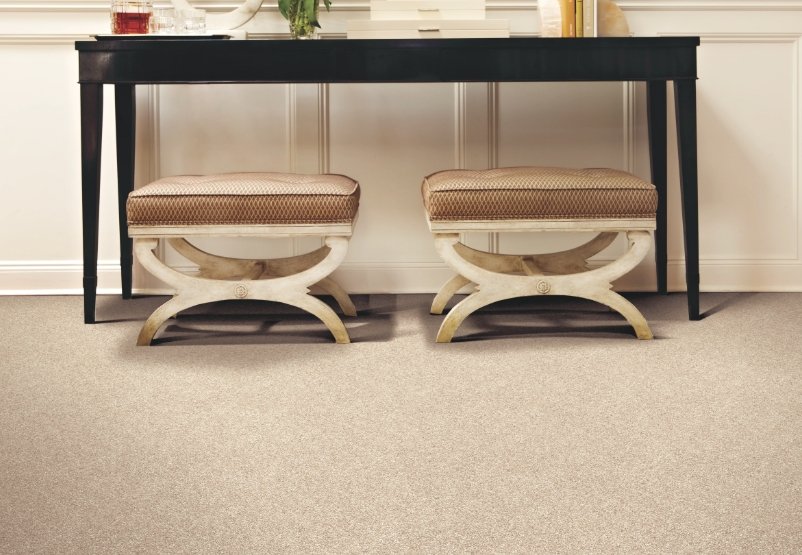 Stanton Residential Carpet / Collection: Starry Night - Marquee / Color: Sandstone / (Also available in 3 other colors!) / Click on picture above to see additional colors!