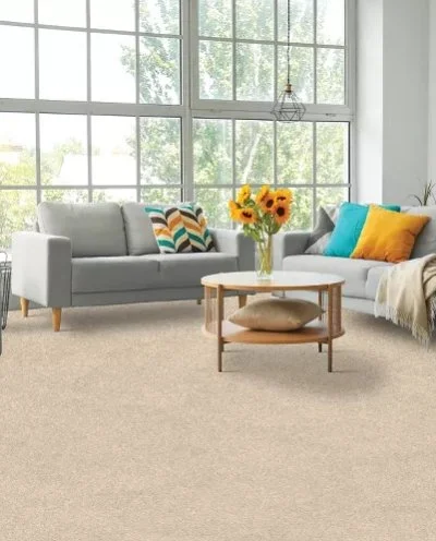 Mohawk Pet Premier Residential /
Collection: Paw Pathway /
Color: Windsome /
(Available in 11 other colors!) /
Click on picture above to see additional colors!