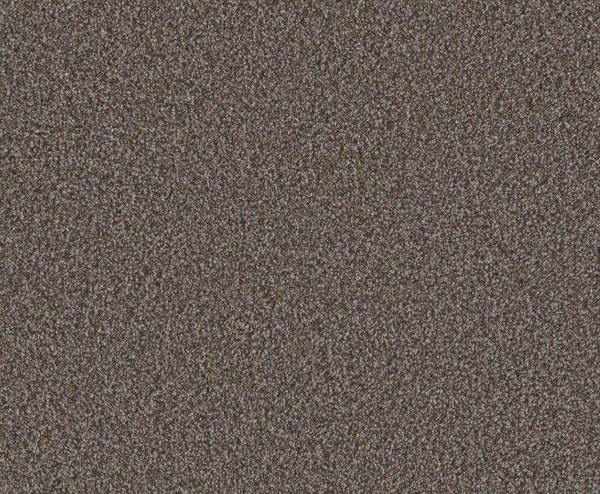 Dreamweaver Residential Carpet / Collection: Metropolis III / Color: Carmel / (Available in 14 other colors!) / Click on picture above to see additional colors!