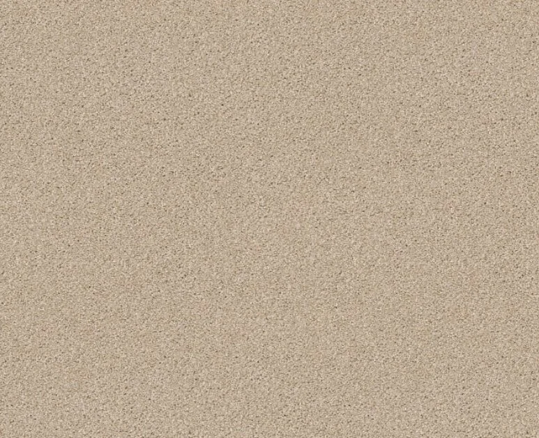 Shaw Floors Residential Carpet / Collection: Always Ready I / Color: Boutique / (Also available in 19 other colors!) / Click on picture above to see additional colors!