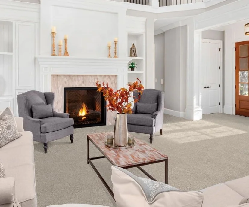 Dreamweaver Residential Carpet / Collection: Reflections III / Color: Iron Frost / (Available in 19 other colors!) / Click on picture above to see additional colors!