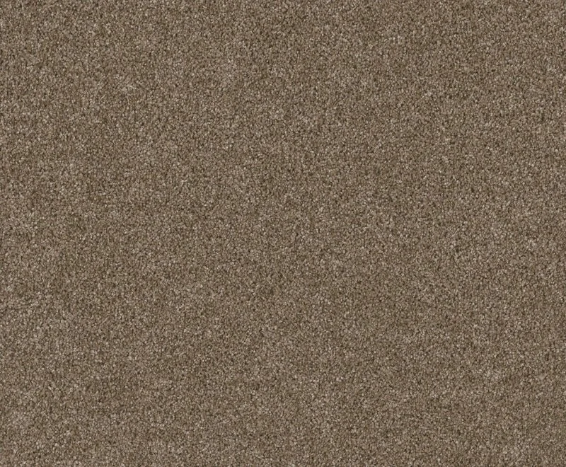Dreamweaver Residential Carpet / Collection: Stunning / Color: Acorn / (Available in 19 additional colors!) / Click on picture above to see additional colors!