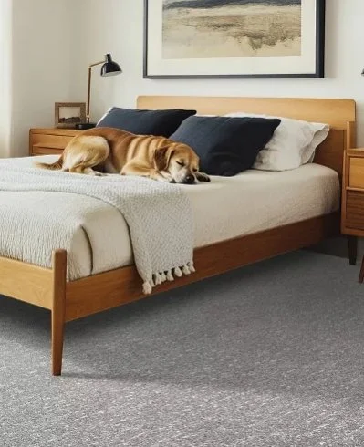 Mohawk Pet Premier Residential /
Collection: Bark and Roll /
Color: Stone Bark /
(Available in 14 other colors!) /
Click on picture above to see additional colors!