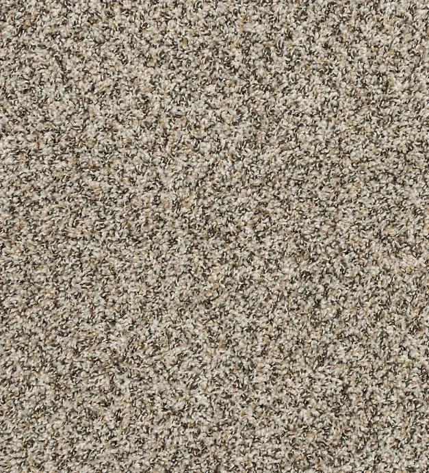 Mohawk Pet Premier Residential /
Collection: Raise the Woof I & II /
Color: Highway /
(Available in 11 other colors!) /
Click on picture above to see additional colors!